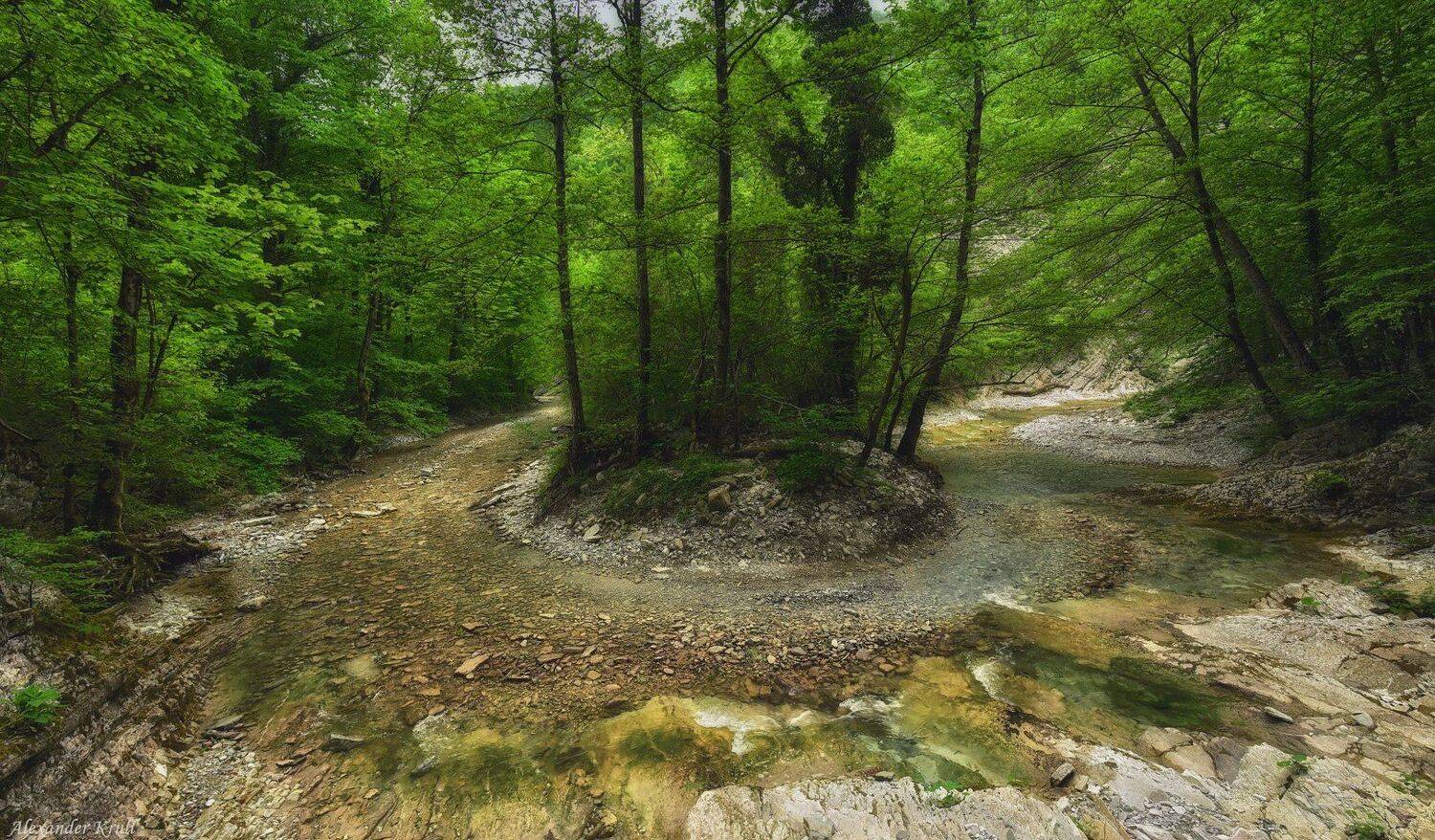 , Александр Круль