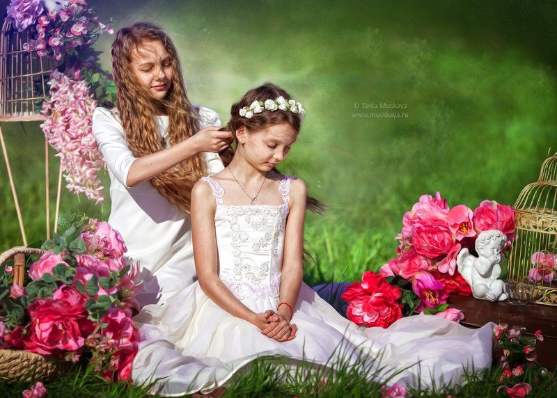 Белый лебедь фото превью