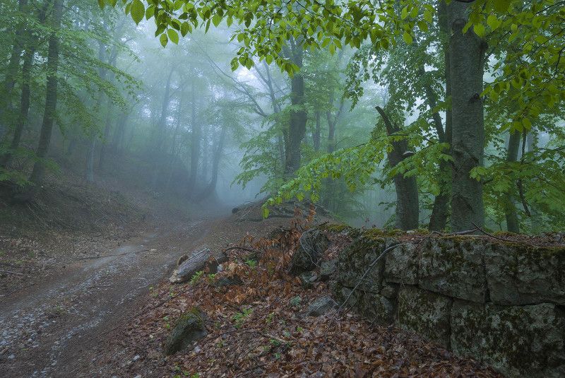 Старые стены Романовской дороги. фото превью
