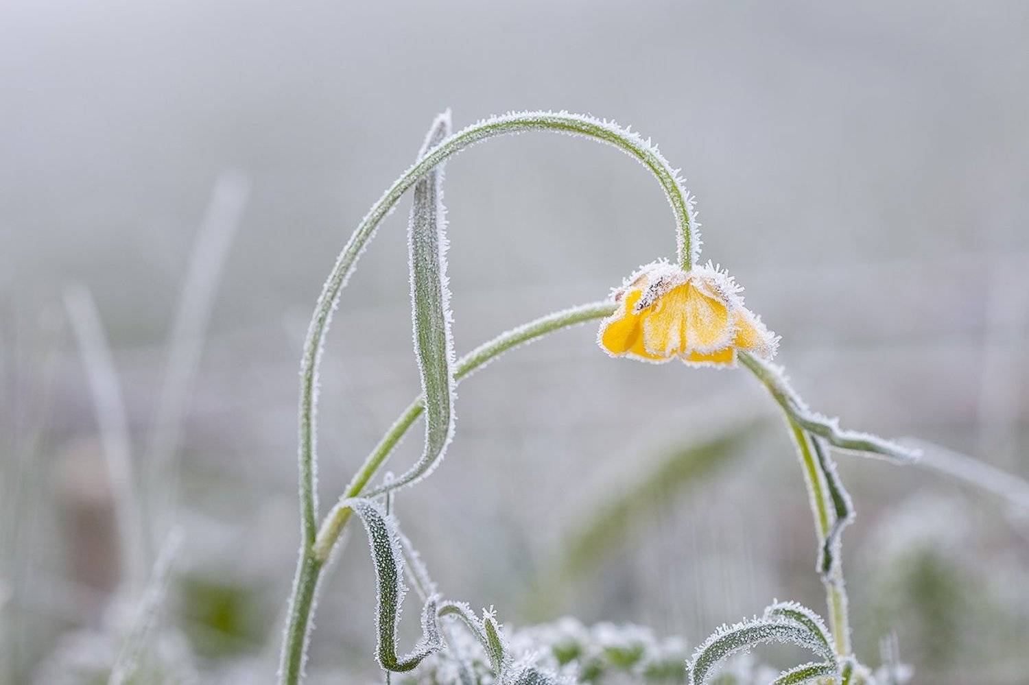 , Юрий Сорокин
