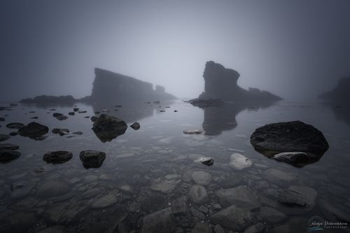 Foggy morning