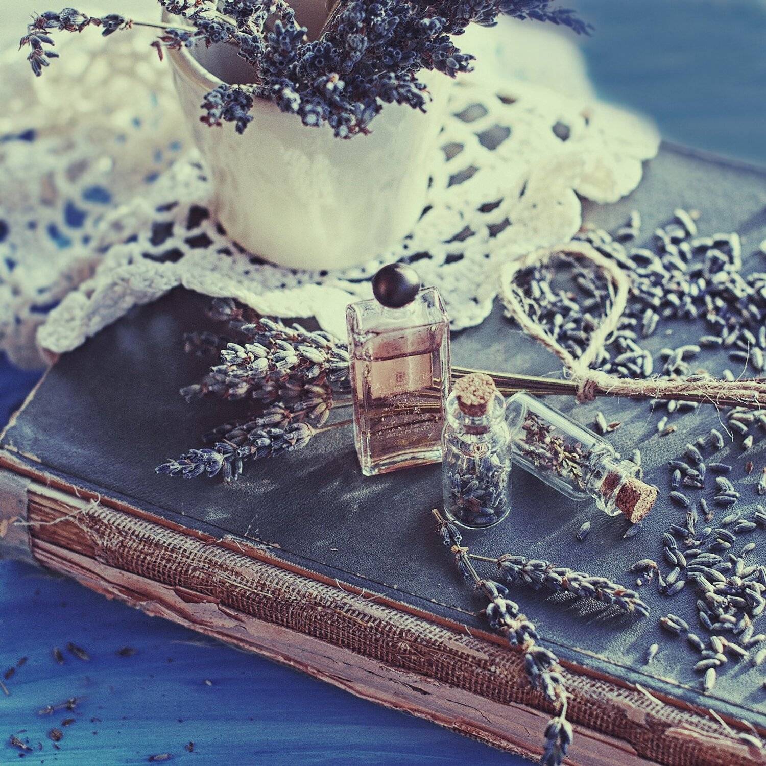 , Надежда Власова