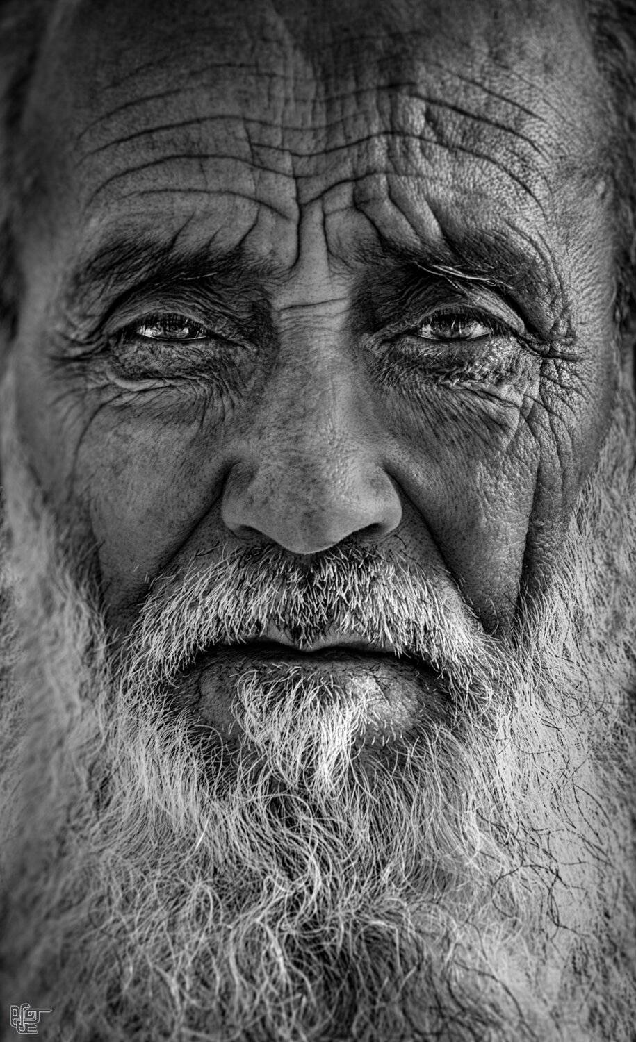 #portrait, Ali Ali Sabih Kadhim