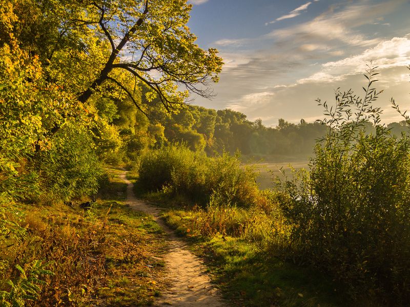 осень,пейзаж,природа,листва,nature,landscape,autumn Прохладное утро сентября фото превью