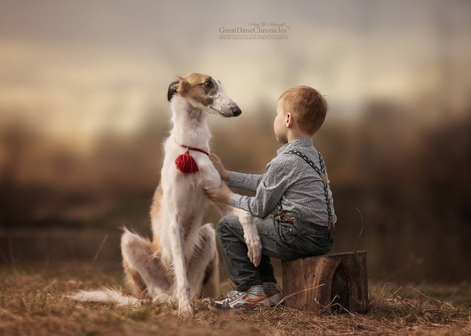 собаки, дети, рпб, Андрей Селиверстов