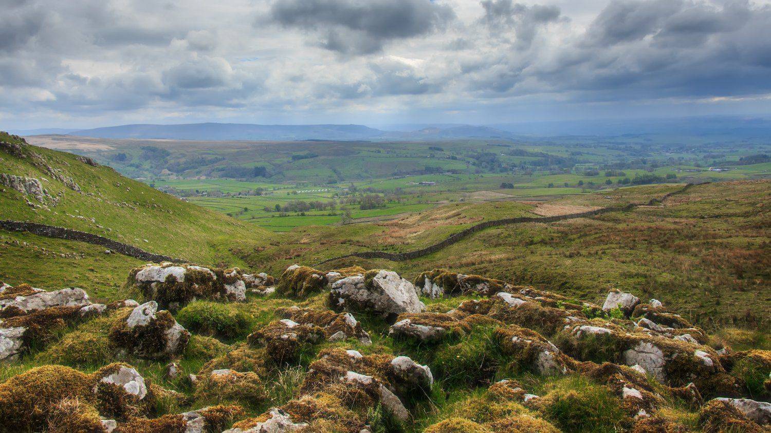 , Проценко Виктор