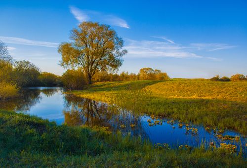 Нежность весеннего заката