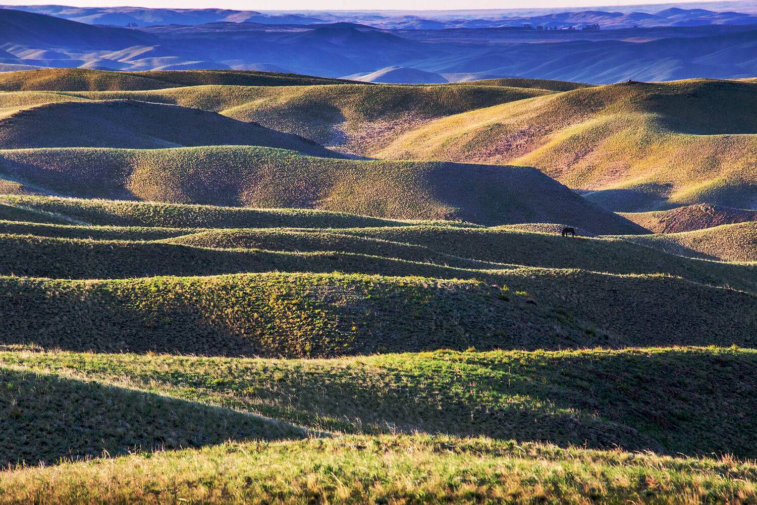 , Качурин Алексей