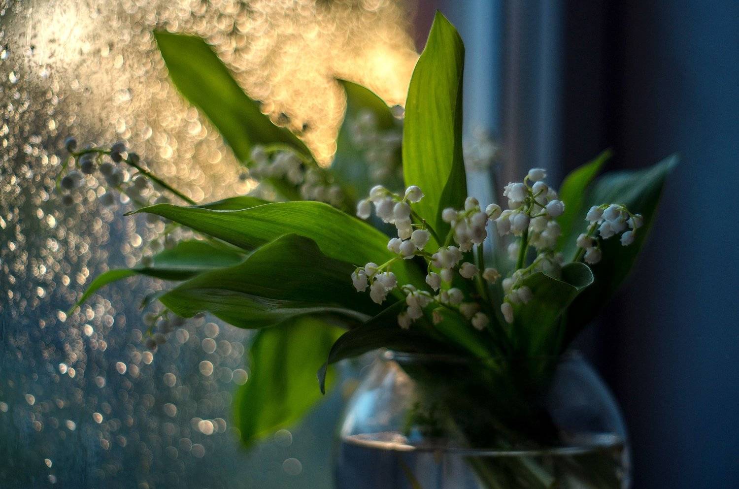 , Лилия Немыкина