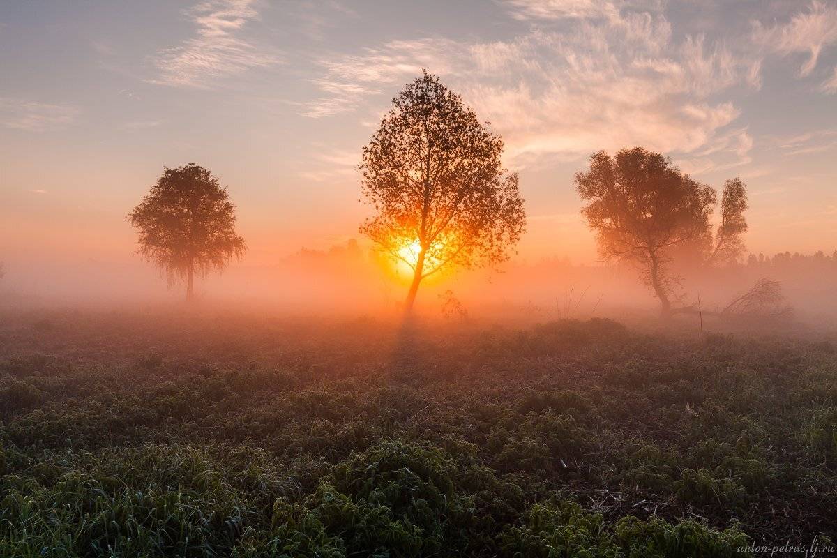 рассвет, туман, река, отражение, Антон Петрусь
