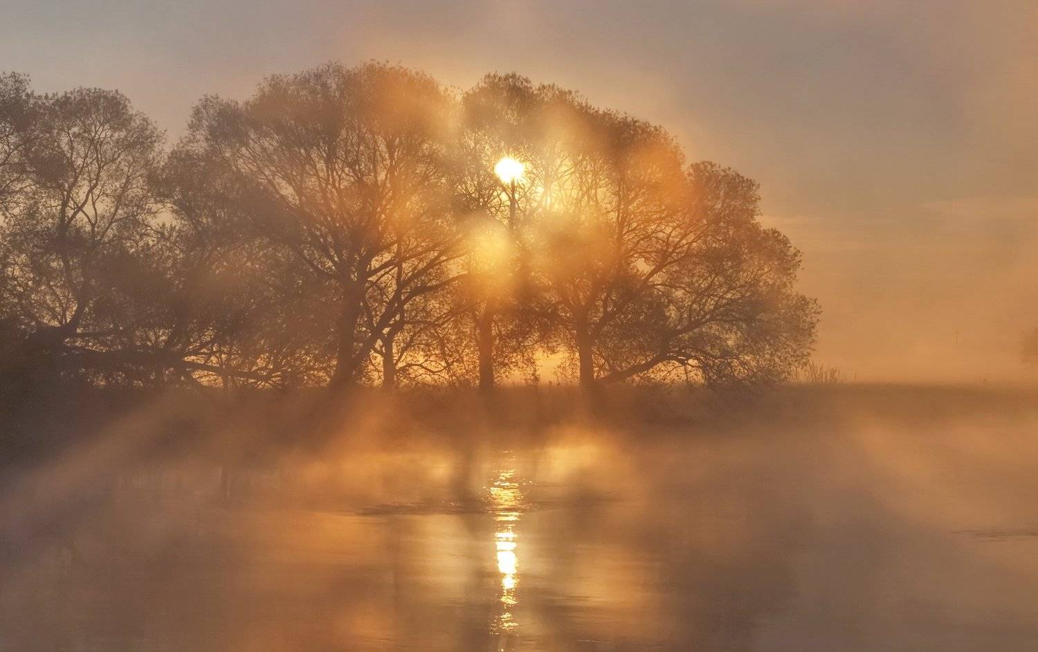 утро, туман, весна, свислочь, Александр Гвоздь