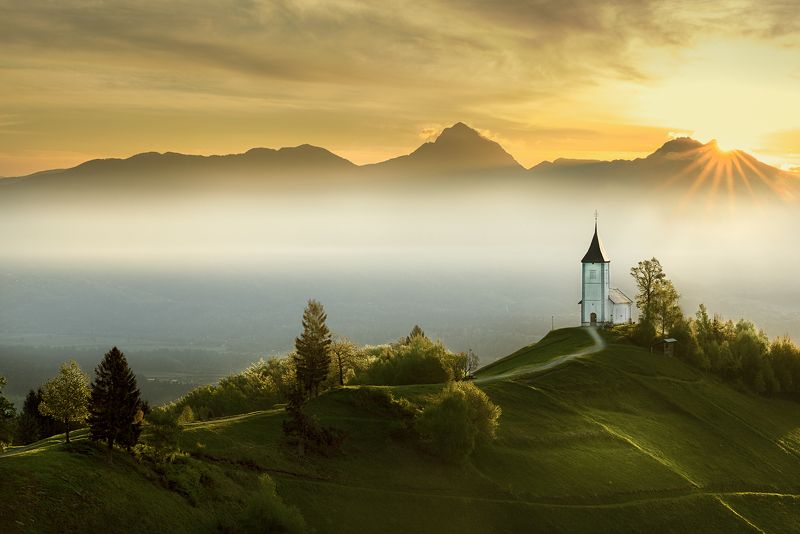 Jamnik  фото превью