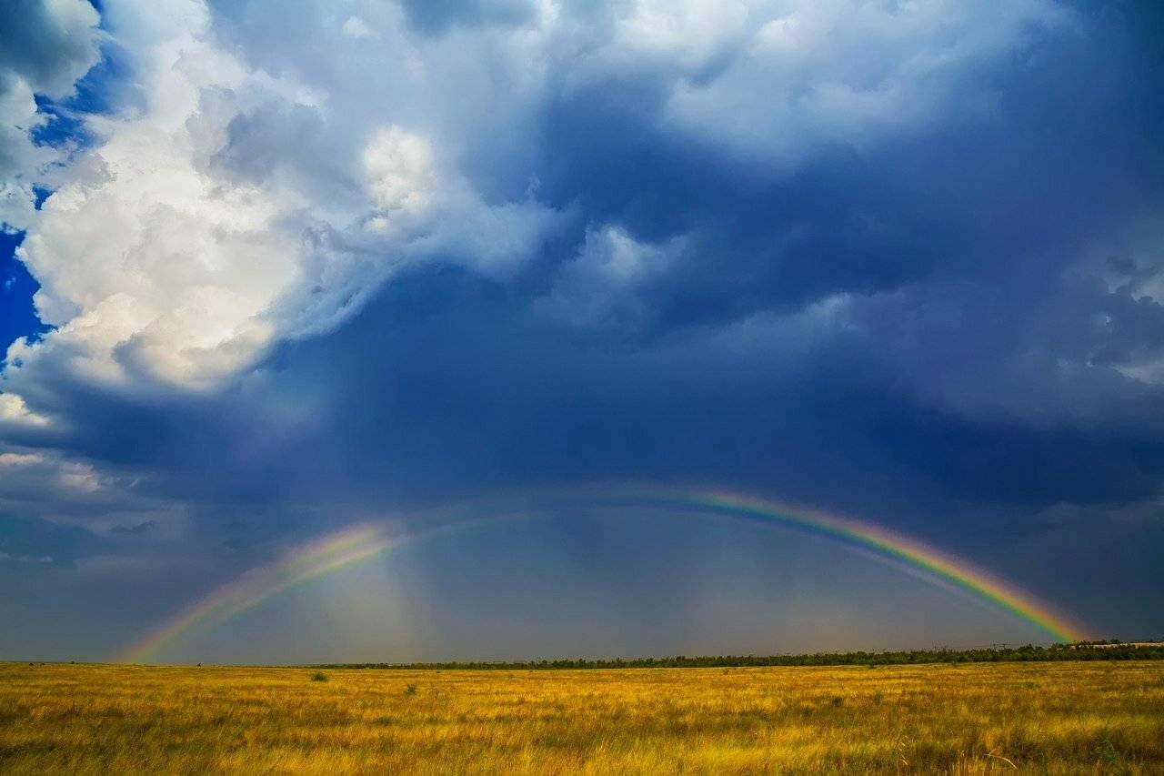 , Павел Сагайдак