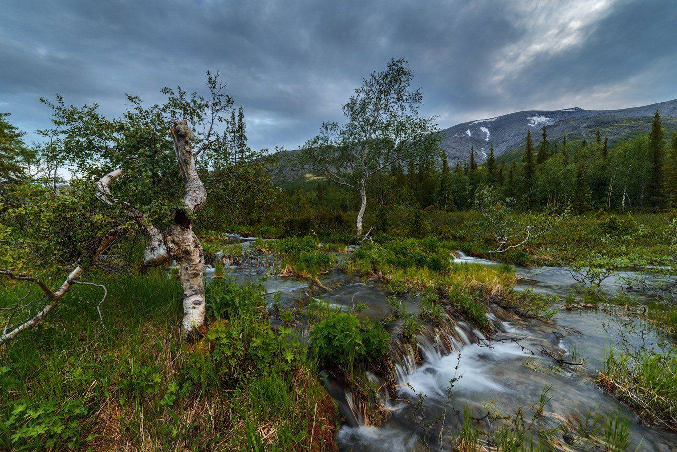 север, кольский, хибины, заполярье,лето, ночь,, Роман Горячий