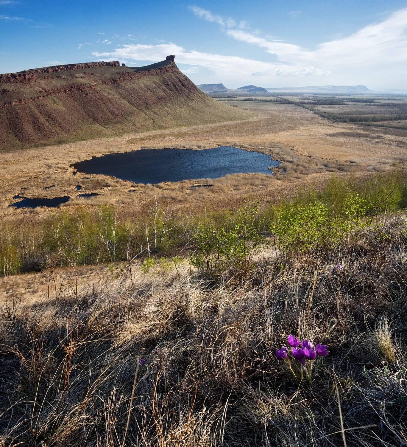 , Лещёнок Александр