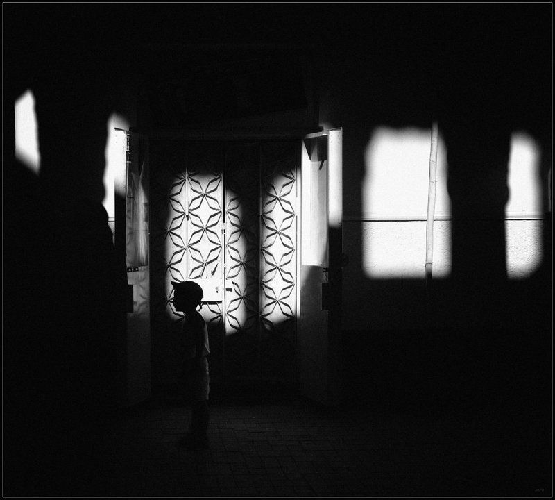 Мотылёк фото превью