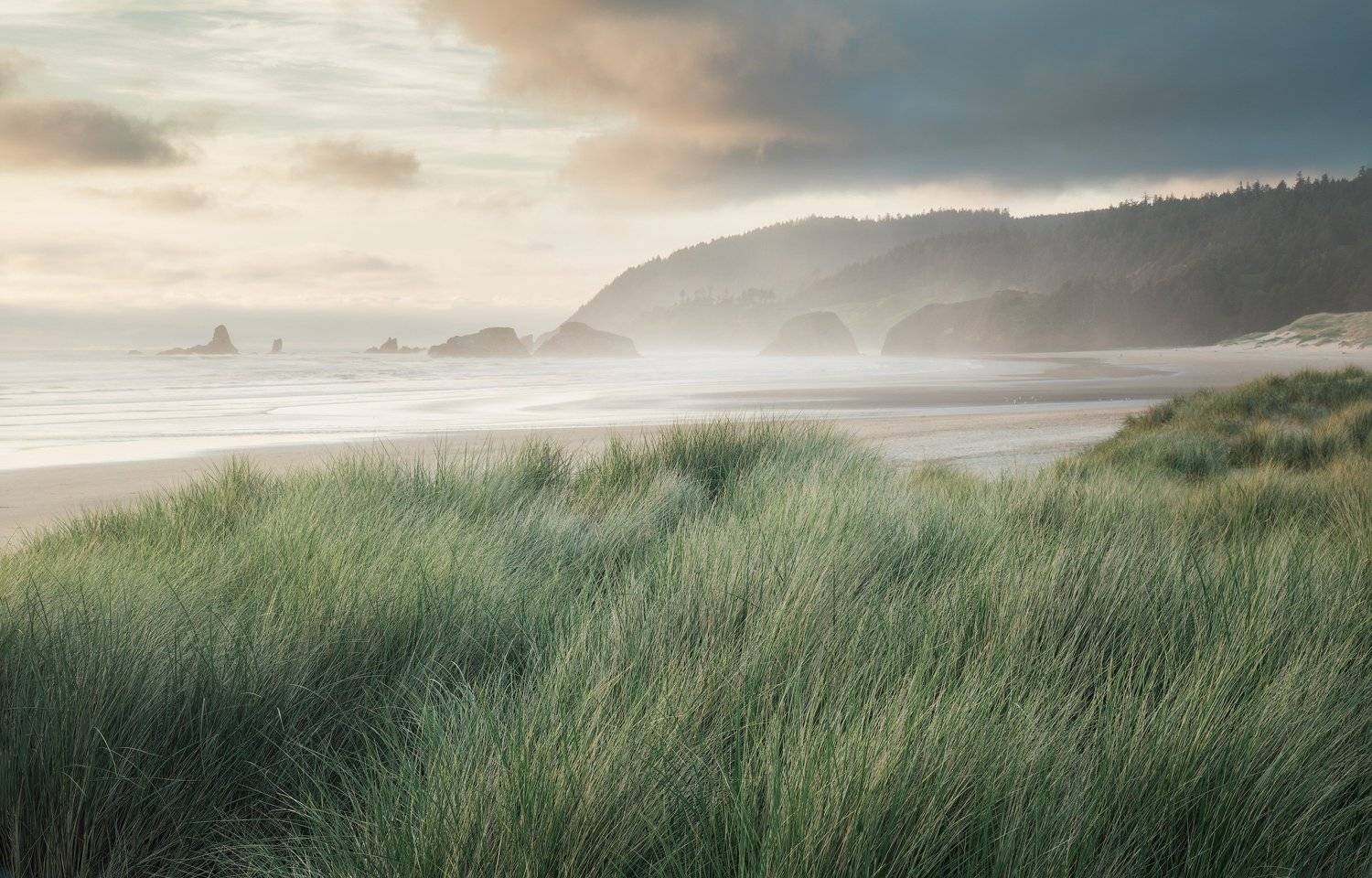 cannon beach, Nathaniel Merz