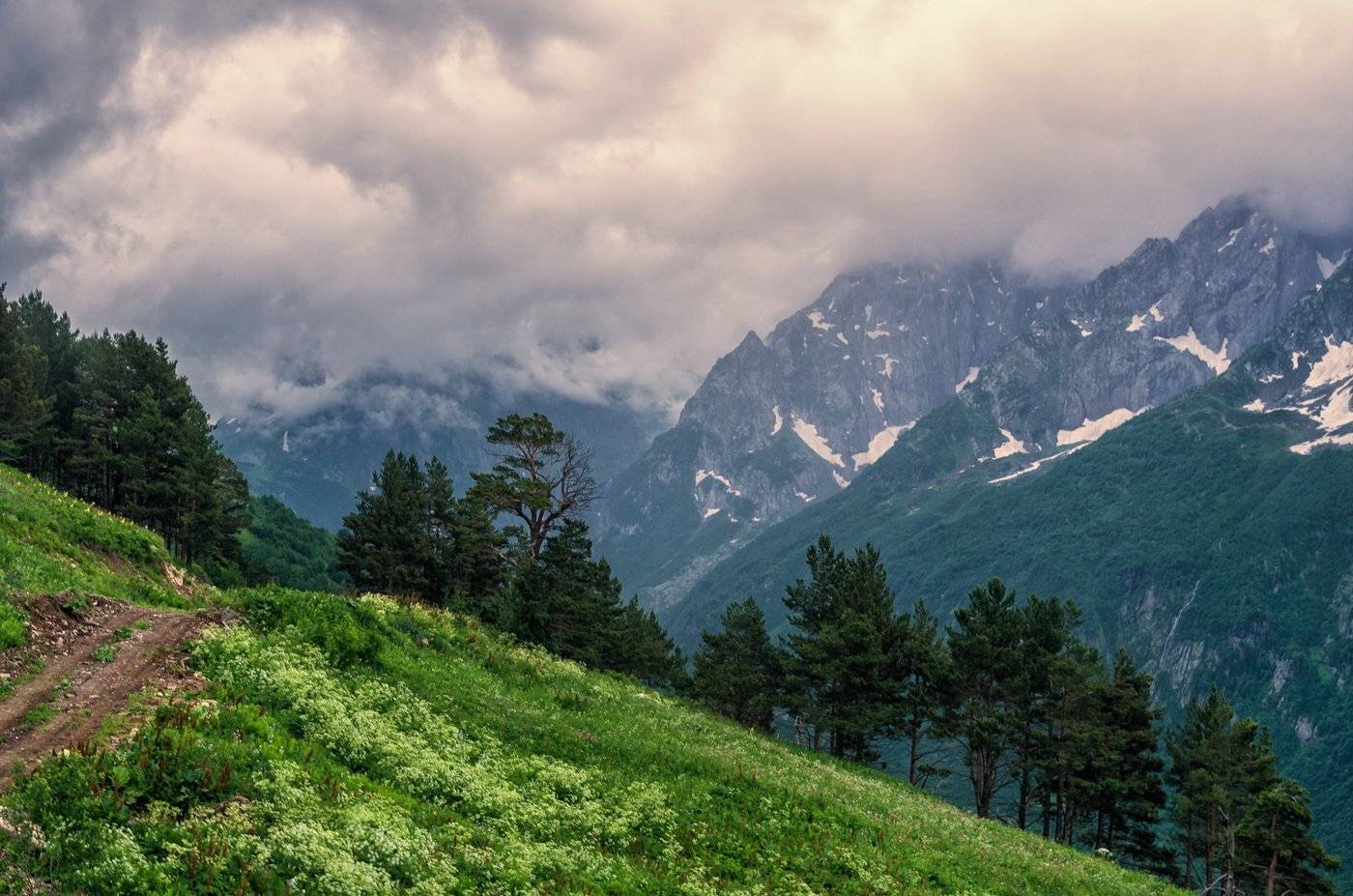 , Игорь Мелекесцев