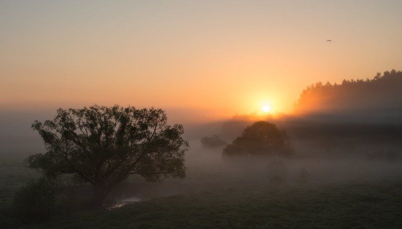 Утро раннее... фото превью