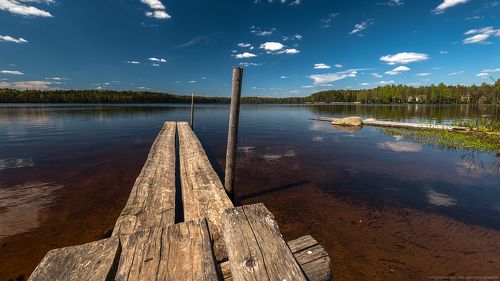 Майский полдень