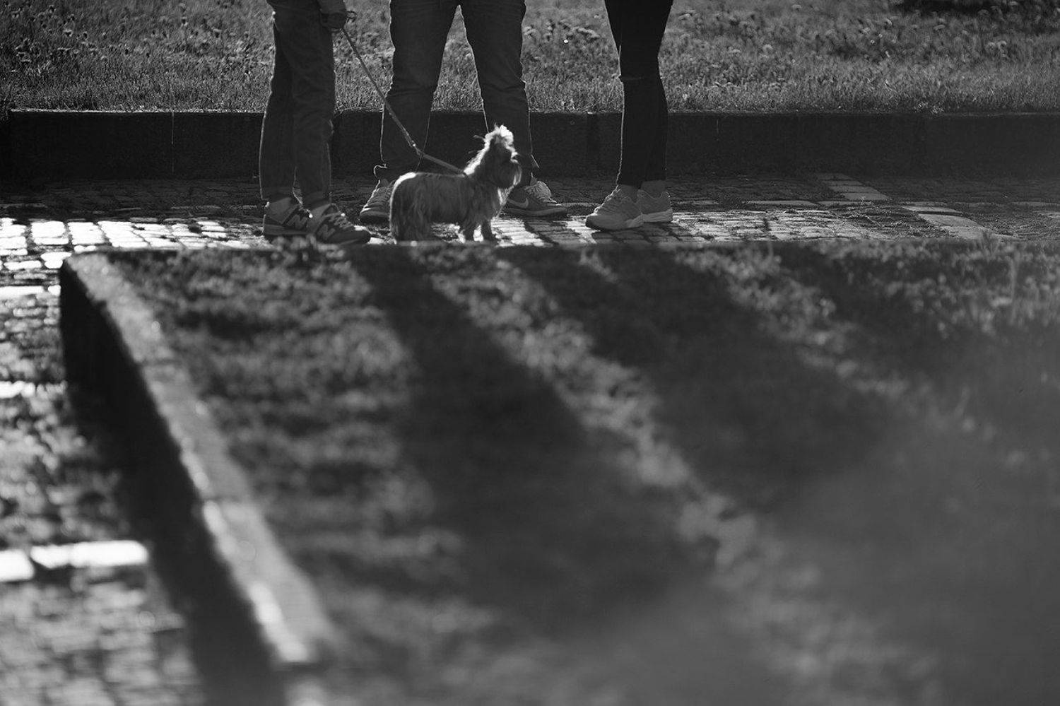 , Алексей Шамашов