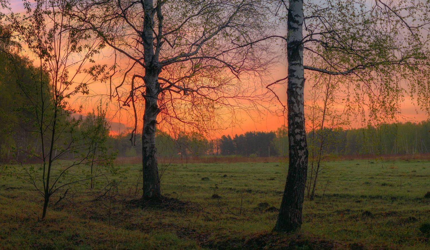 никон, пейзаж, утро, Морозов Юрий