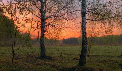 /Подмосковное утро.../ 