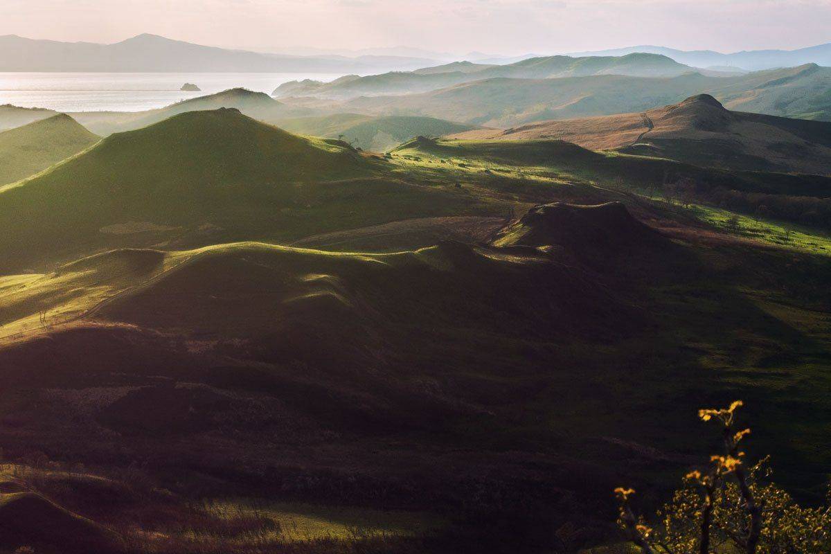 , Шинкарева Елена