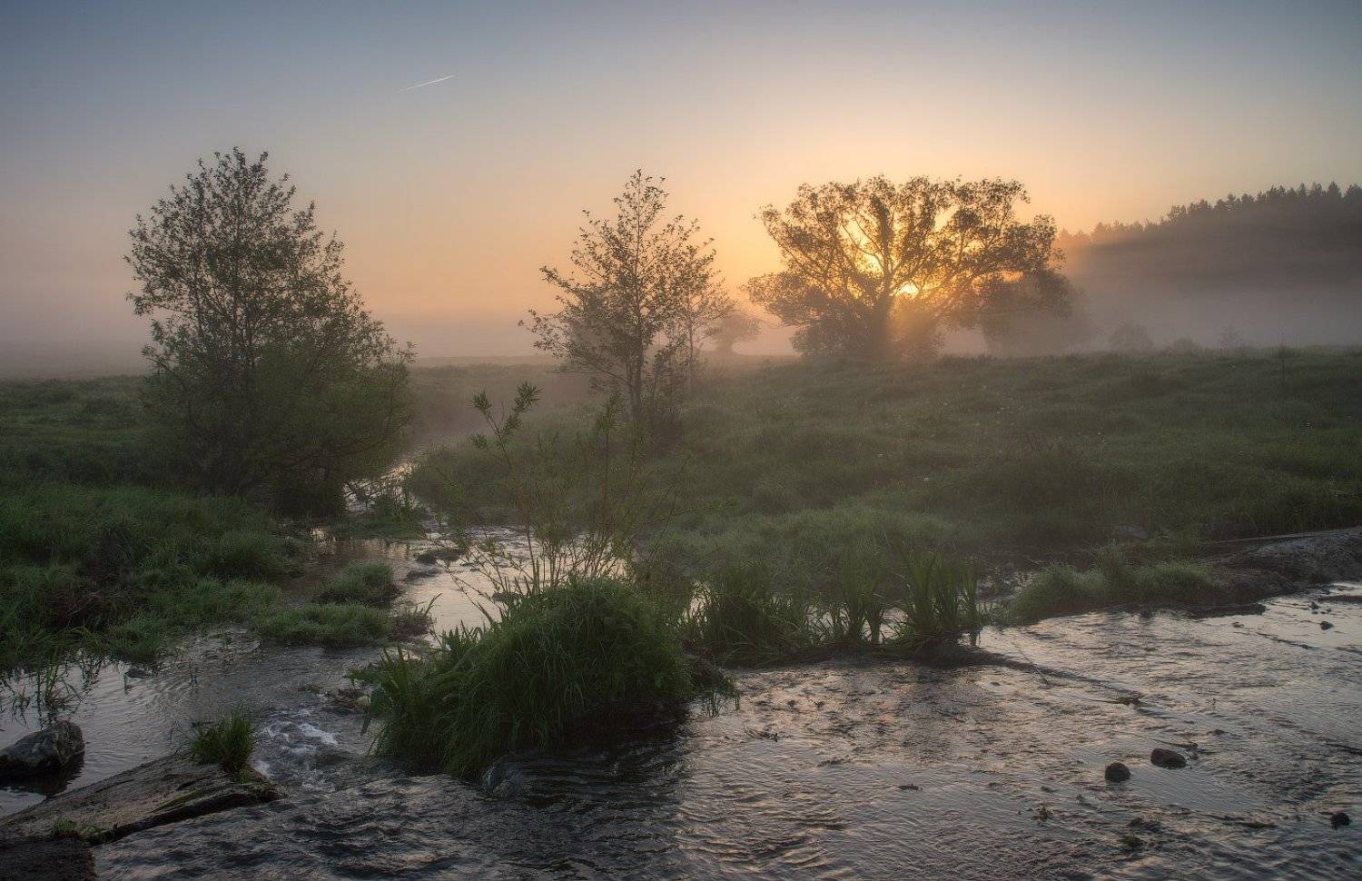 , Сергей Добровольский