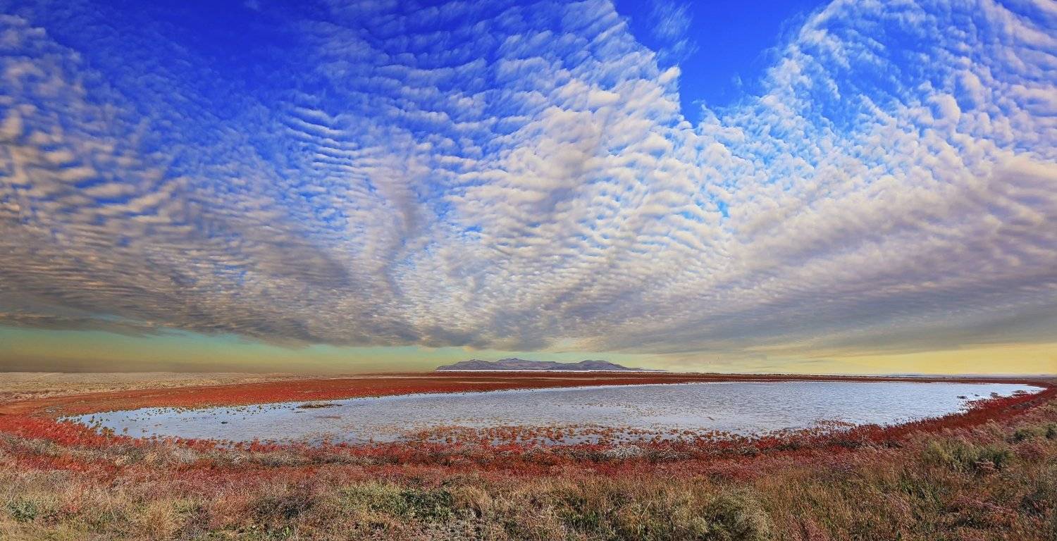 озеро,соленое,осока,красный,трава,сухой,гора,небо,голубой,облака,природа,растения,высококучевые,крым,россия,опук,пейзаж,лето,холм,горизонт,вода,отражение, Elena Pakhalyuk