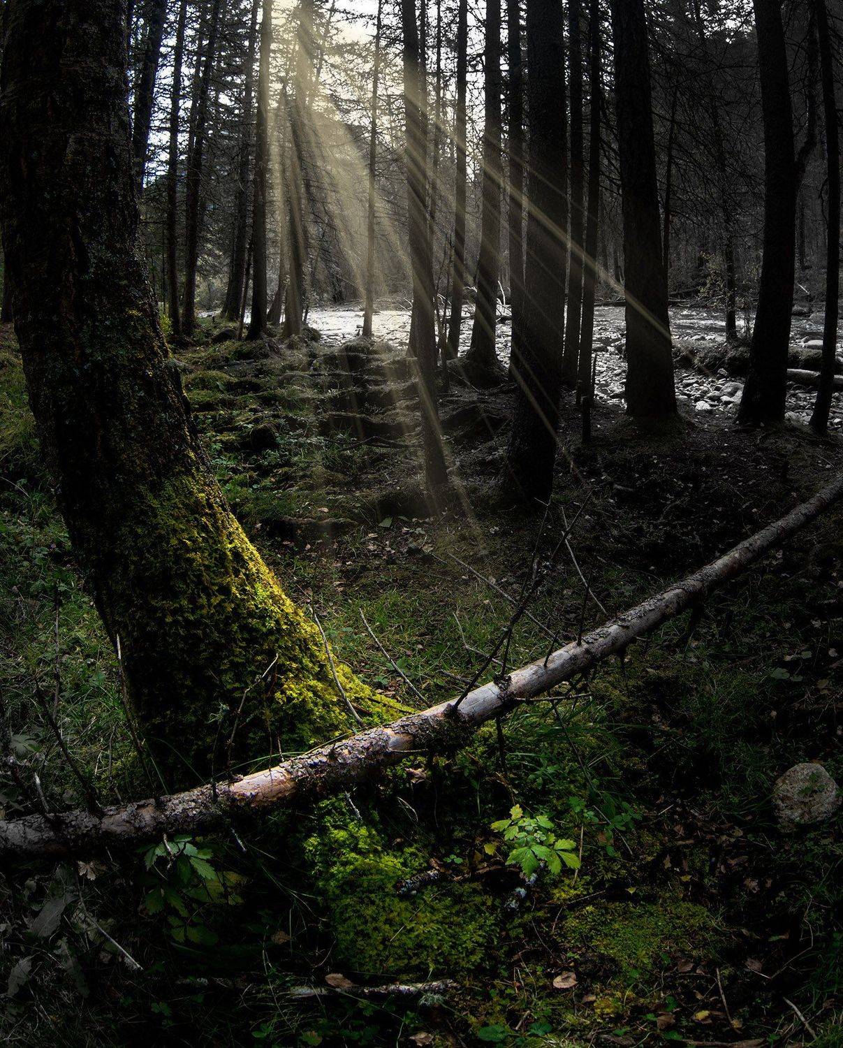 , Орлов Михаил