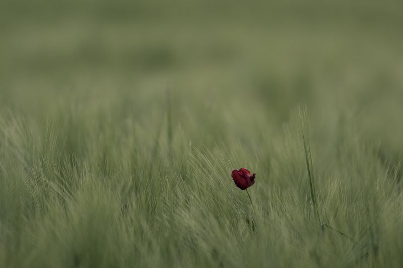 Одиночество фото превью