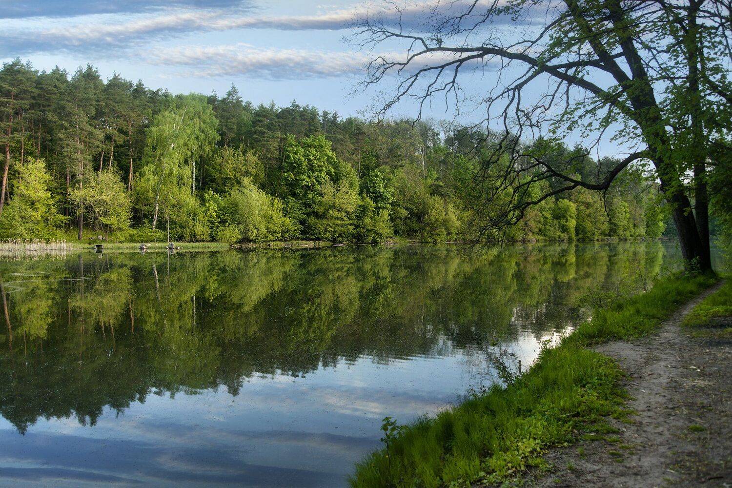 весна,река,берега,деревья, Roma Krasov ( Chitinskiy )