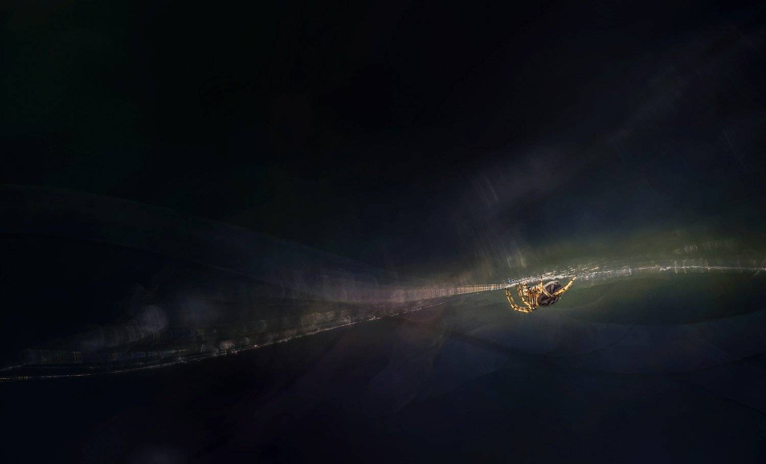 , Лилия Немыкина