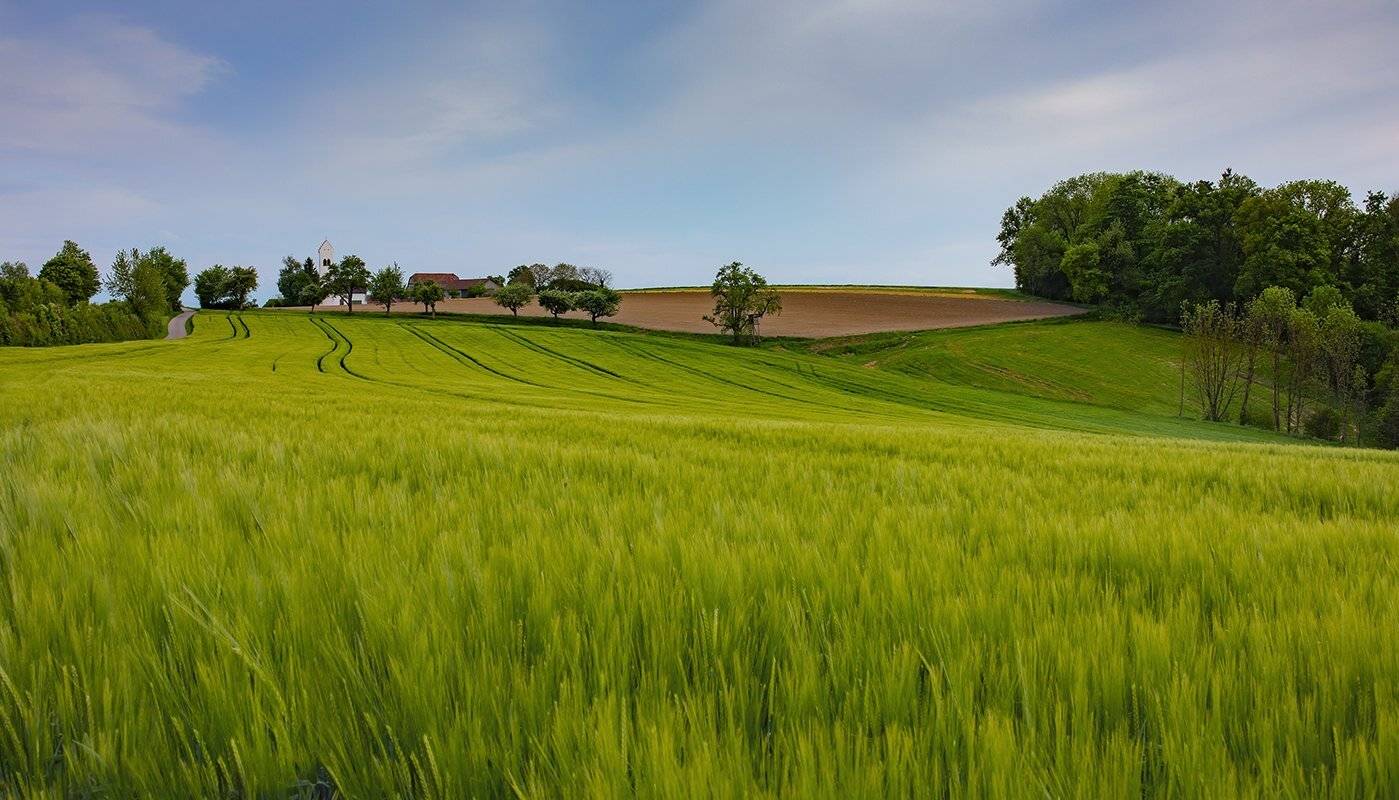 , Игорь Дубровский