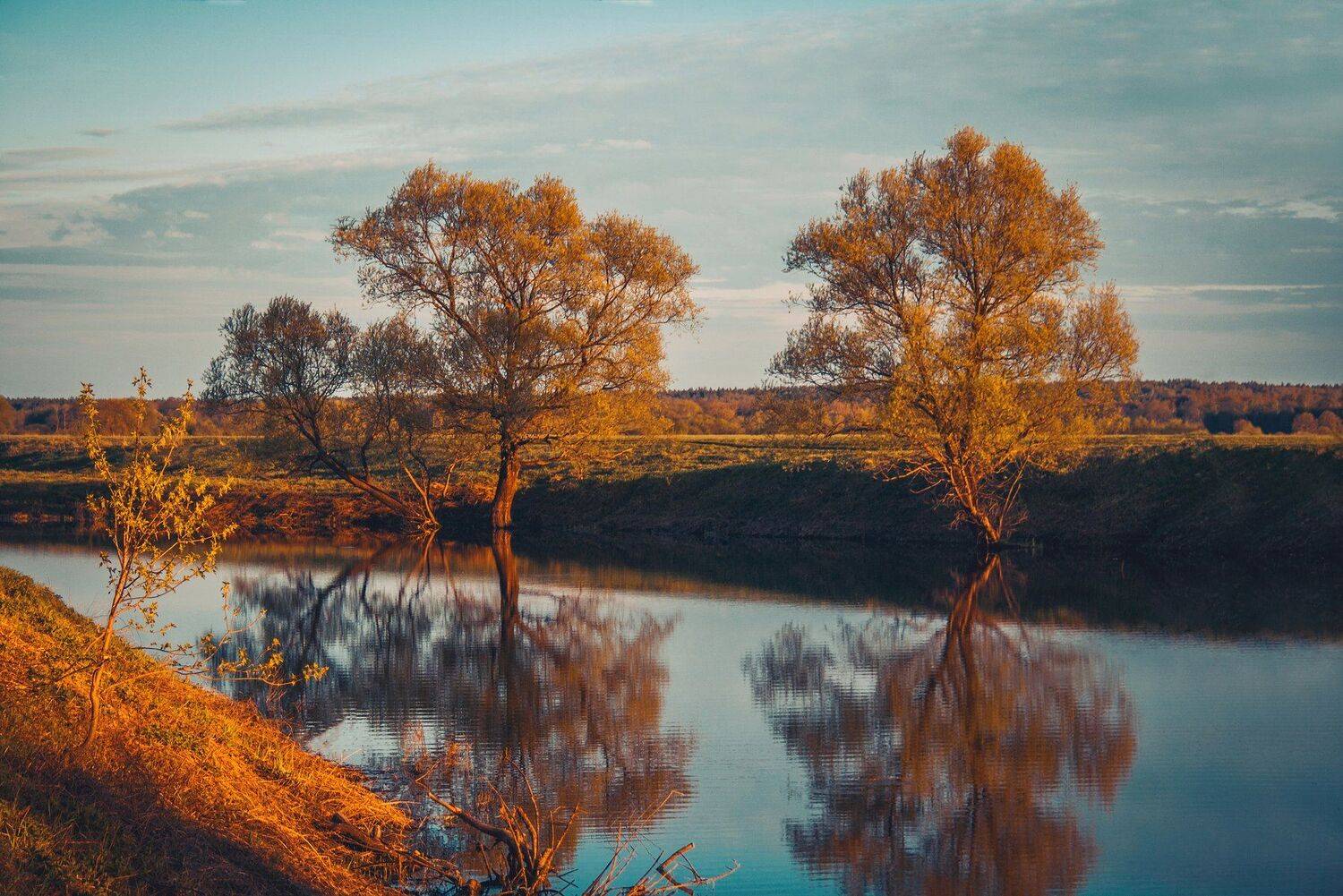 фото, природа, закат, река, лес, весна, Екатерина