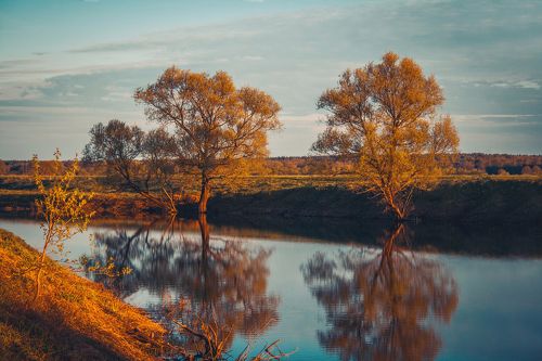 Тихий вечер