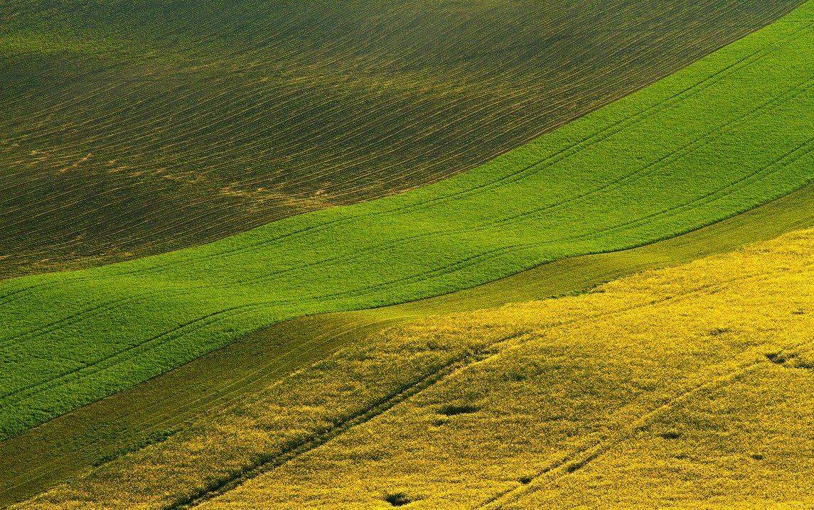 moravian tuscan lanes, Franti&scaron;ek Uhler