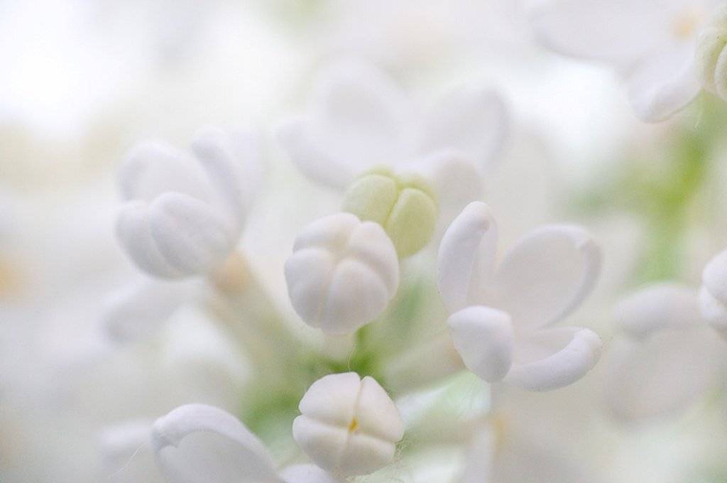 , Татьяна Рутковская