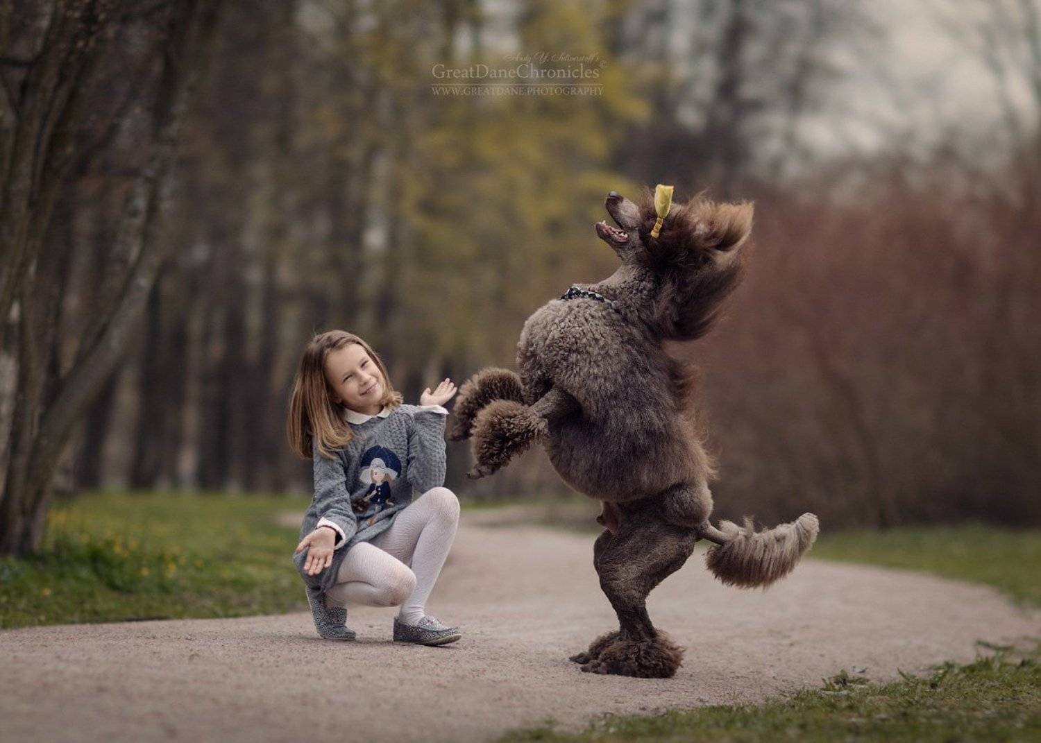 , Андрей Селиверстов