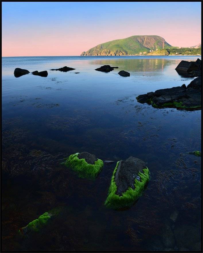 , Владимир Метцгер