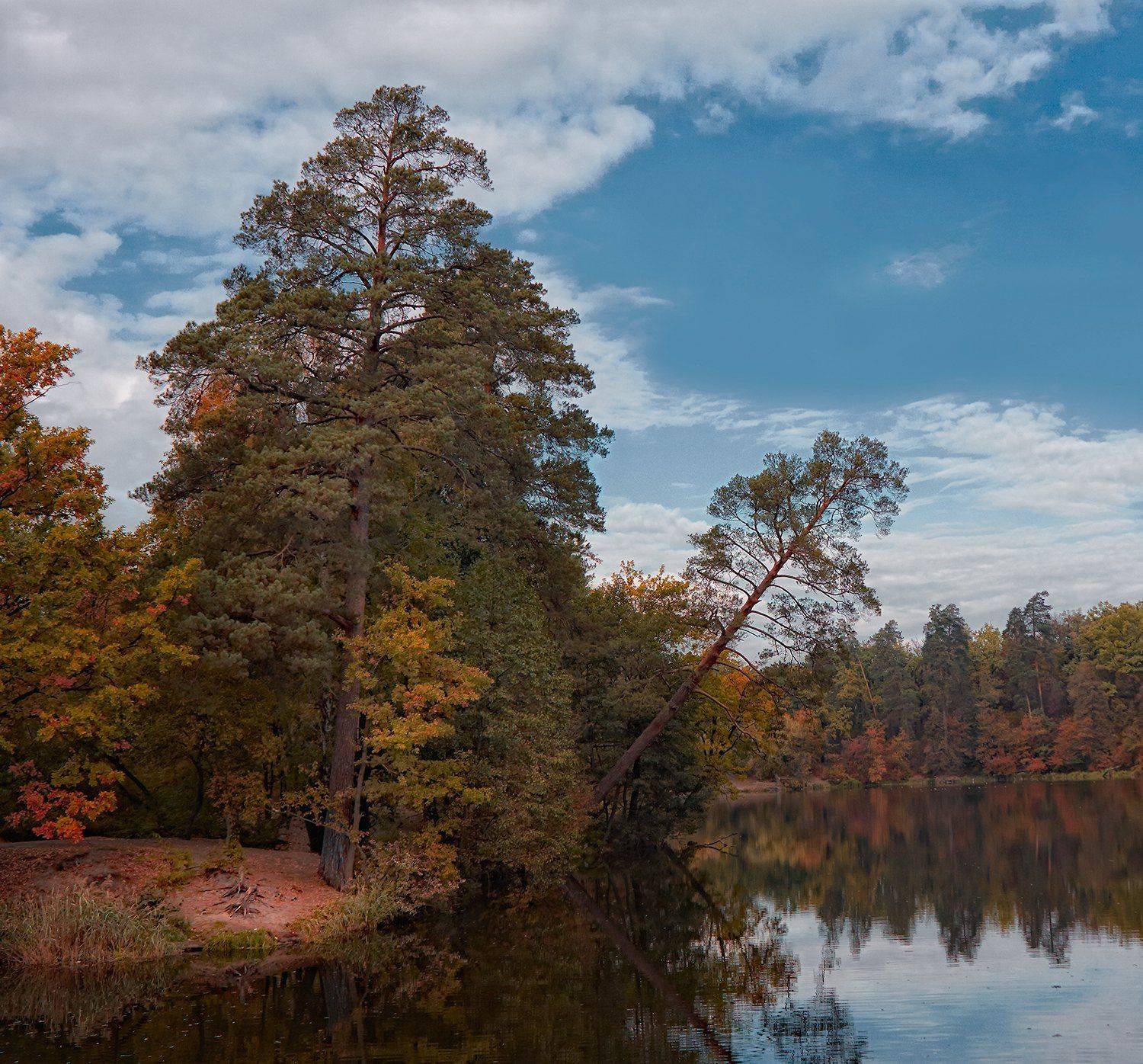 , александр