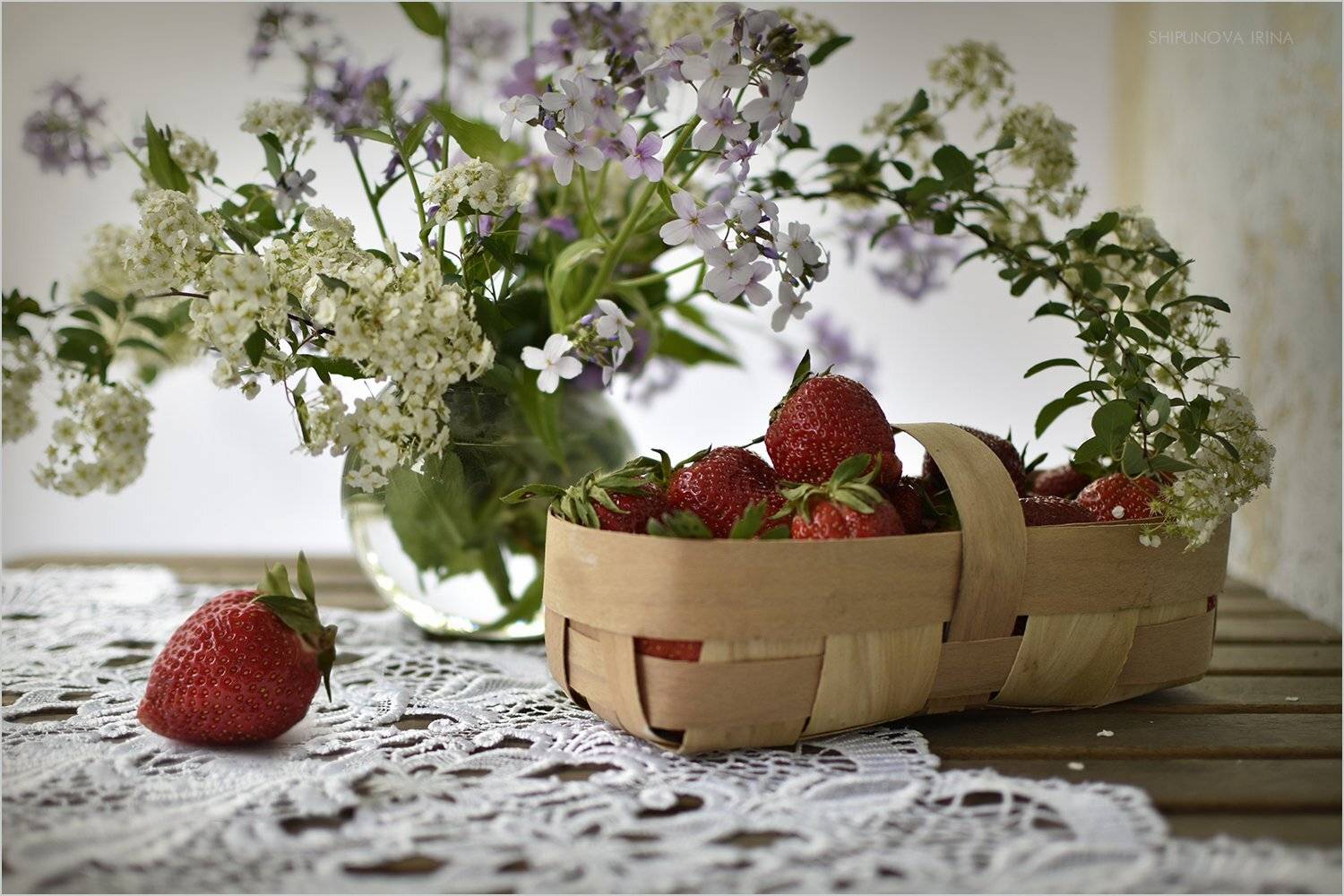 , Шипунова Ирина