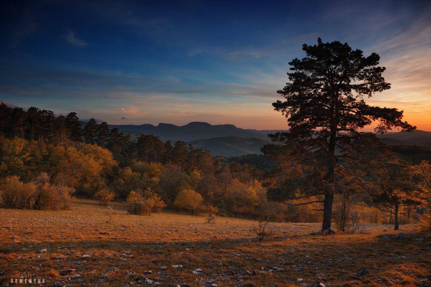 крым, басман, горы, сосны, закат, бойка., Семенюк Василий