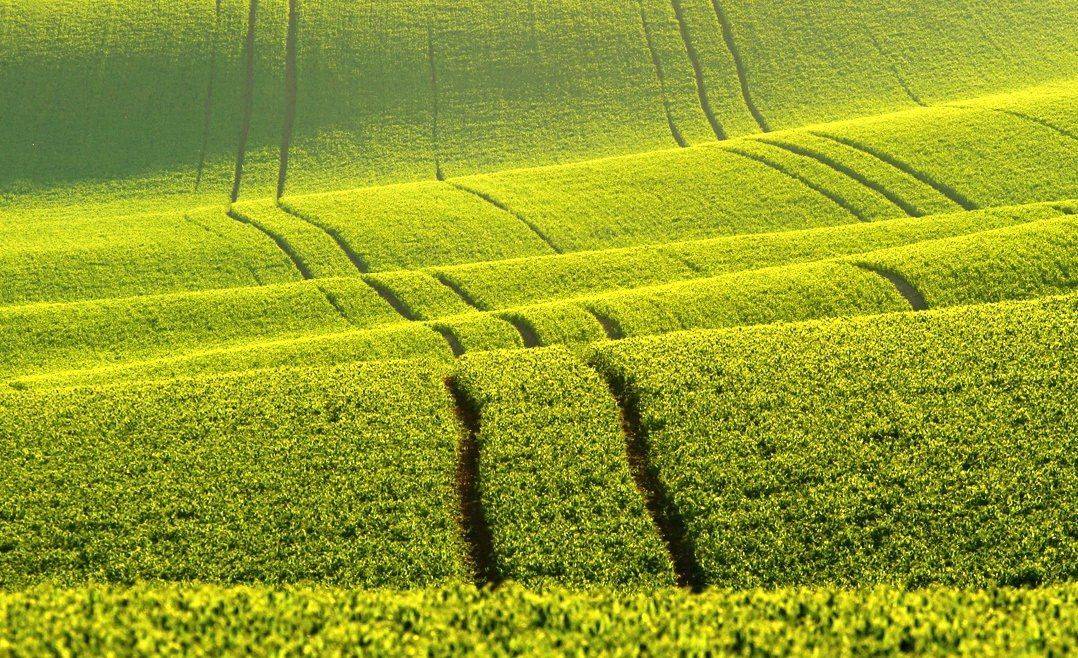 , Franti&scaron;ek Uhler