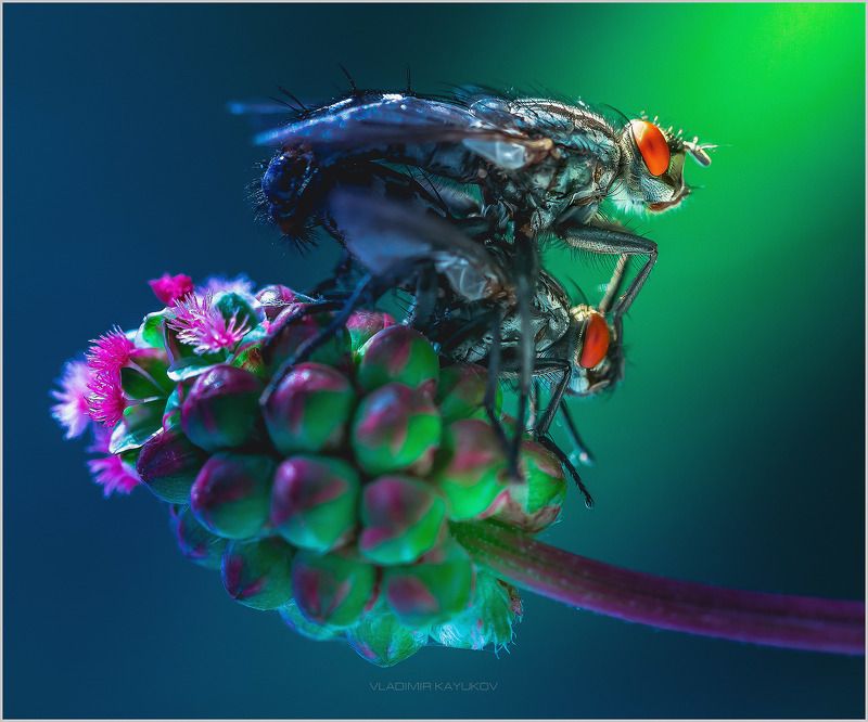 Весна, знаете ли... Май СКФО. фото превью