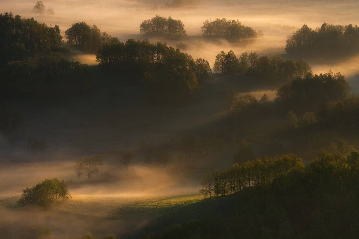 landscape,canon,mist,light,spring, Iza,Darek