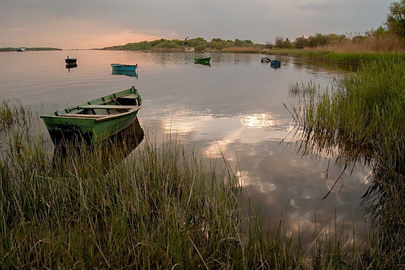 Родные просторы. фото превью