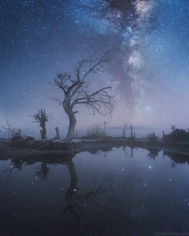 Dreamy night