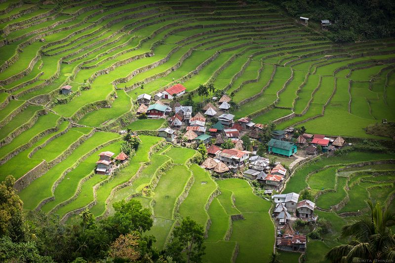 Rice Terraces фото превью